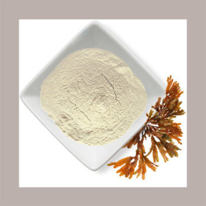 Alginato di Sodio E401 Addensante Emulsionante Reire 1 Kg