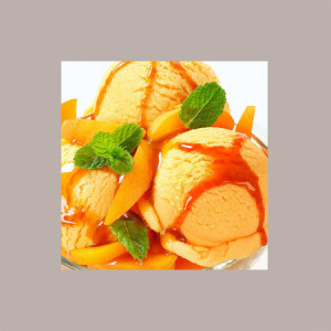 Sciroppo per Granita Gusto Arancia Formato Piccolo Toschi 740 gr
