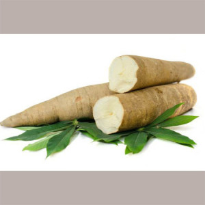 Amido di Tapioca Senza Glutine Reire 4 Kg [eba13766]