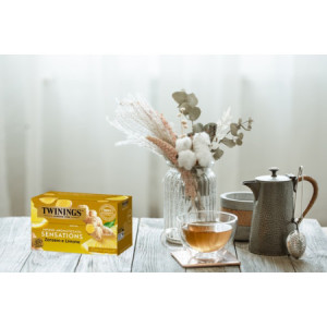 Filtri Bustine Infuso aromatizzato Zenzero e Limone TWININGS 20 Pezzi