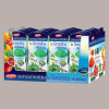 Granita Siciliana al Gusto Menta Senso Freddo Pronta da Gelare Dolfin (6 astucci da 2) 12 x 100 Ml [5a3ad751]