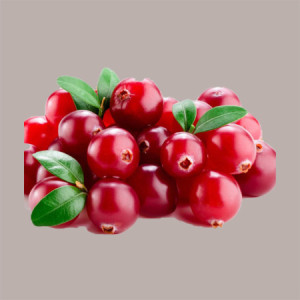 Sciroppo Concentrato per Granita Gusto Cranbarry Mirtillo Rosso Mixybar Fabbri 1,3 Kg