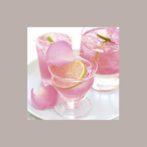 Sciroppo Concentrato per Granita Gusto Rose Mixybar Fabbri 1,3 Kg