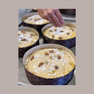 Stampo Forme Cottura in Carta Forno per Panettone Basso da 450 gr Usa e Getta Dm155H55mm 10 pezzi [df6ac9d7]