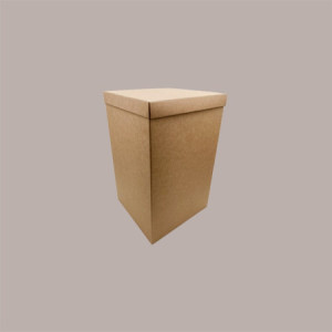 Scatola Baule + Coperchio Carta Avana Liscio 345x345x600 mm 1 pezzo [3f7f6c15]