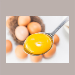 Tuorlo d'Uovo Zuccherato 50% Stabilizzato EUROVO Brik da 1,25 Kg