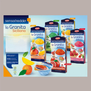 Granita Siciliana Arancia Rossa Senso Freddo Pronta da Gelare Dolfin 12 x 100 Ml (6 astucci da 2)