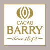 Cacao Amaro e Corposo in Polvere Noir Intense Nero Intenso 10/12 Performante Barry 1 Kg [0e10a3b8]