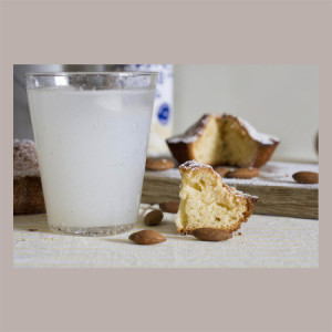 Sciroppo Concentrato per Granita Gusto Orzata Mixybar Fabbri 1,3 Kg [f3cf8d73]