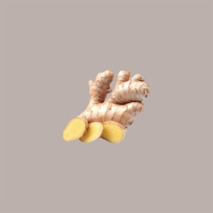 Sciroppo Concentrato per Granita Gusto Zenzero Ginger Mixybar Fabbri 1,3 Kg