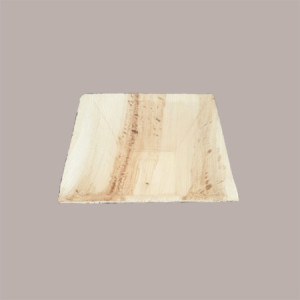 Ciotola Piatto Fondina Quadrato Foglia Palma Bio 160x160H45 mm 25 Pz [07bc7026]