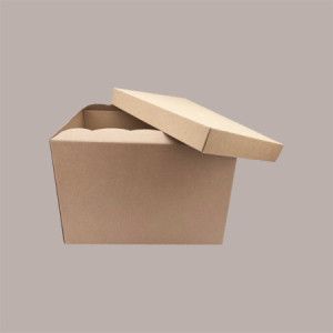 Scatola Baule con Coperchio Carta Avana Liscio 490x340H340 mm 2 pezzi