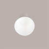 100 Pz Bicchiere Bibita Carta Bianco Biodegradabile Compost 420cc [cac05068]