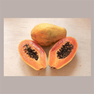 Sciroppo Concentrato per Granita Gusto Papaya Mixybar Fabbri 1,3 Kg [599e7e79]