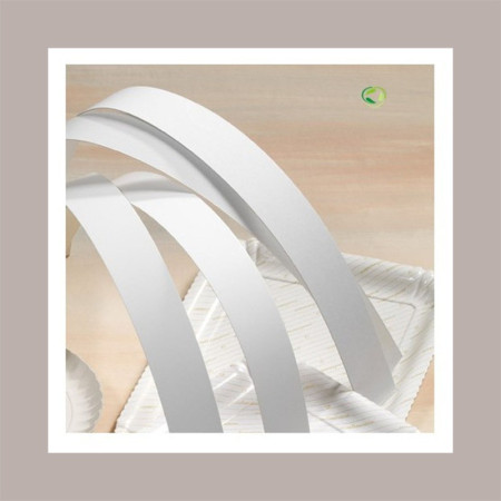 Strisce Cartone Alimentare Bianco L100H50mm per Pasticceria 10 kg [1c7001ca]