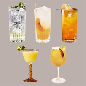 Starter Set Gin Tonic Revolution Fabbri 1 Gin 700 ml 5 Sciroppi 1 L e Set 6 Bicchieri Gin