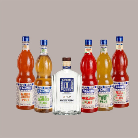 Starter Set Gin Tonic Revolution Fabbri 1 Gin 700 ml 5 Sciroppi 1 L e Set 6 Bicchieri Gin [28d84a6d]
