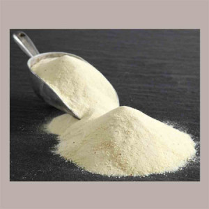Proteine del Latte MPC 85% per Gelato 1 Kg