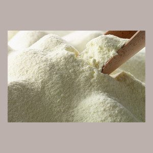Latte Scremato in Polvere Spray Istantaneo 1 Kg