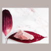 Cioccolato di Copertura Rosa Naturale RUBY RB2 in Bottoni Callebaut 2,5 Kg [950a0c34]