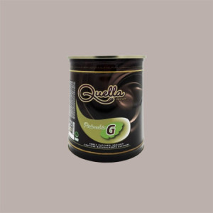 Quella Pistacchio G Crema Spalmabile per Gelato Senza Zuccheri Aggiunti e VeganOk Mec3 6 kg [08ea306a]