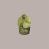 Quella Pistacchio G Crema Spalmabile per Gelato Senza Zuccheri Aggiunti e VeganOk Mec3 6 kg [66d1b263]