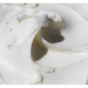 Yogurt Magro in Polvere per Prodotti Dolciari e Gelati 5 kg [f6c6fe78]