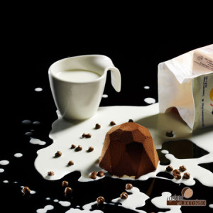 Preparato in Polvere Box Cioccolato Fondente con Gocce Vegan Ok ideale per Gelato Leagel 1,6 kg [576aa938]