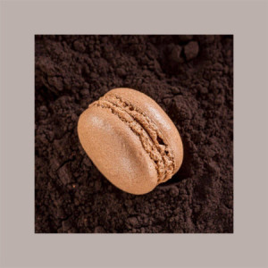 Cacao in Polvere Leggero Sgrassato Légère 1% Velvet Experience Signature Collection 750 gr Callebaut