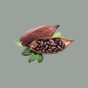 Cacao in Polvere del Gelatiere 22/24% Nestlè Perugina 1 Kg [83626049]