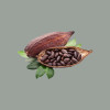 Cacao in Polvere del Gelatiere 22/24% Nestlè Perugina 1 Kg [83626049]
