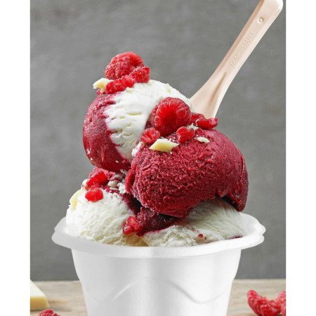 Palettina Spoon PLA BIO COMPOST Beige Hawaii Ideale per Gelato Yogurt Granite 9,5 cm 1 kg 483 pezzi [8f5a1df8]