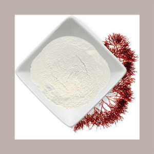 Carragenina in Polvere Addensante Stabilizzante E407 Reire 1 Kg