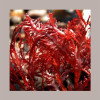 Carragenina in Polvere Addensante Stabilizzante E407 Reire 1 Kg [affc615b]