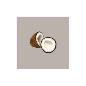 Grasso di Cocco Raffinato Senza Glutine REIRE per Gelateria Pasticceria 25 Kg