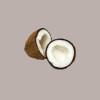 Grasso di Cocco Raffinato Senza Glutine REIRE per Gelateria Pasticceria 25 Kg [062de0a9]