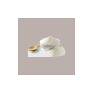 Latte Scremato in Polvere Francese Istantaneo REIRE 1 Kg