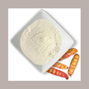 Gomma TARA E417 Addensante Gelificante Stabilzzante Reire 1 Kg [c8e1d0c9]