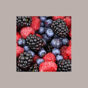 Purea di Frutta 100% Frutti di Bosco Conservazione a Temperatura Ambiente 1,5 Kg