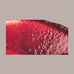 Purea di frutta 100% Gusto Cassis Ribes Conservazione a Temperatura Ambiente 1,5 Kg