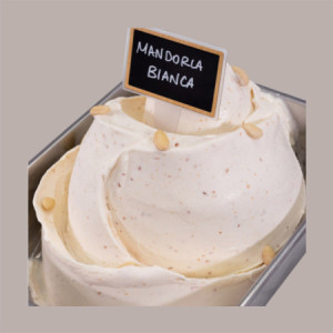 Pasta Concentrata al Gusto di Mandorla Dolce ideale per Gelato Leagel 3,5 Kg [992ef6ab]