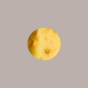 Copertura Crunchy Mango ideale per Stecco Biscotto Gelato Stickaway Leagel 1,2 Kg [5f453826]