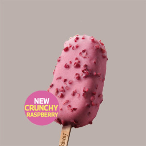 Copertura Crunchy Lampone ideale per Stecco Biscotto Gelato Stickaway Leagel 1,2 Kg