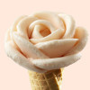Easy al Gusto Pesca Rosa e Limone Preparato in Polvere per Gelato Leagel 1,25 Kg [924898d0]
