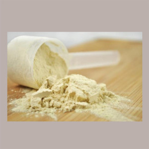 Proteine del Latte Grassate 50% per Gelato 1 Kg
