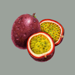 Pasta concentrata Gusto di Maracuja Ideale per Gelato alla Frutta Leagel 3,5 Kg