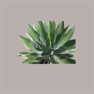 Dolcificante Liquido Sciroppo d'Agave Blu Bio 100% Fabbri 700 gr