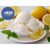 Limone Sicilia ZHero Senza Lattosio Senza Zuccheri Aggiunti Preparato in Polvere per Gelato Leagel 1,25 kg [bb2b0b52]