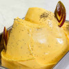 Easy al Gusto Mango Pesca e Semi di Chia Preparato in Polvere per Gelato Leagel 1,25 Kg [af4cb55e]