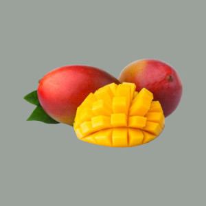 Easy al Gusto Mango Pesca e Semi di Chia Preparato in Polvere per Gelato Leagel 1,25 Kg [1d013344]